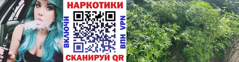 Купить закладку Бошки Шишки  Кокаин  АМФЕТАМИН  СК  Меф  ГАШ  Шатура