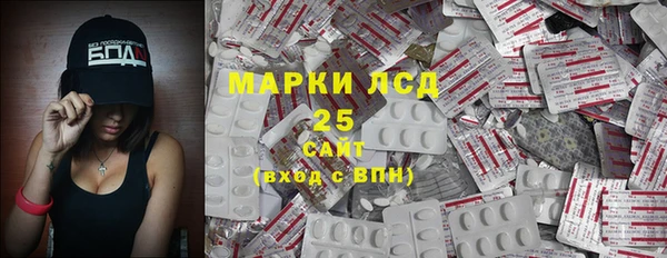ешки Бородино