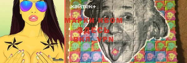 ешки Бородино