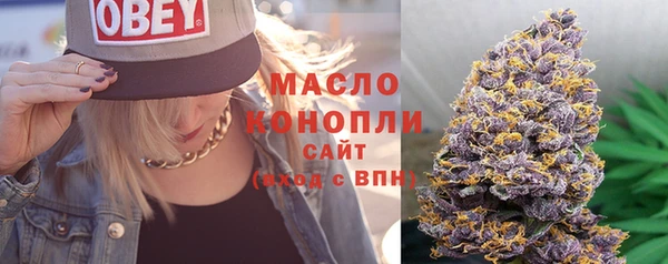 ешки Бородино