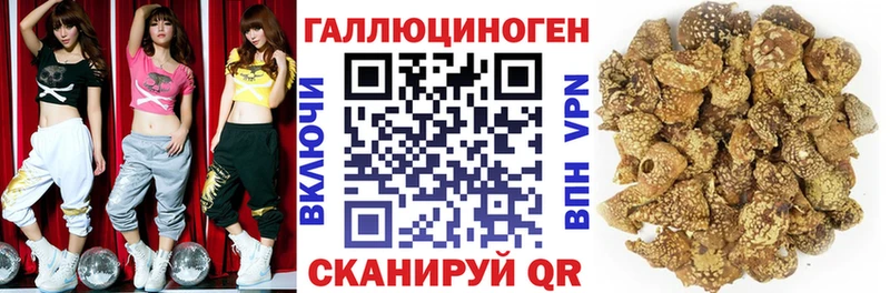 Галлюциногенные грибы Psilocybine cubensis Шатура